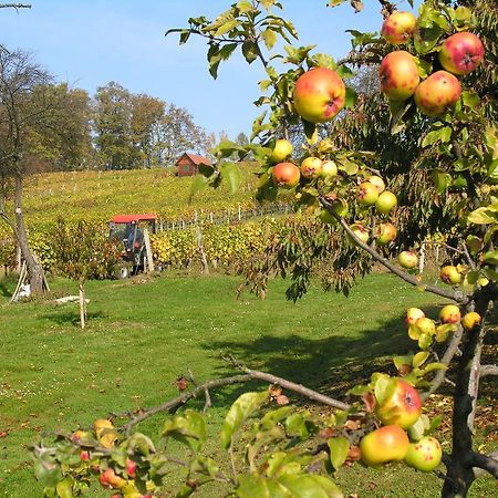 Gaestewohnung Ida Oberwart Zewnętrze zdjęcie
