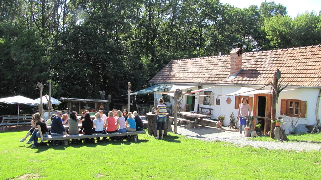 Gaestewohnung Ida Oberwart Zewnętrze zdjęcie