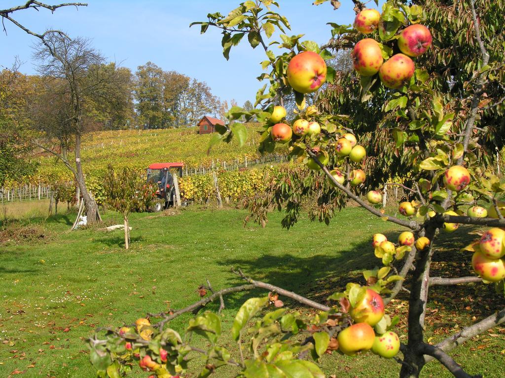 Gaestewohnung Ida Oberwart Zewnętrze zdjęcie